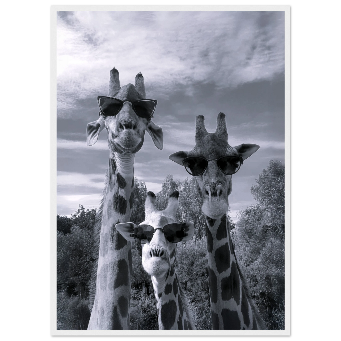 A Sunny Day to be a Giraffe - Poster - Arthena