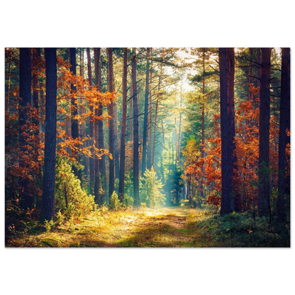 Path of Autumn Glow - Poster - Arthena