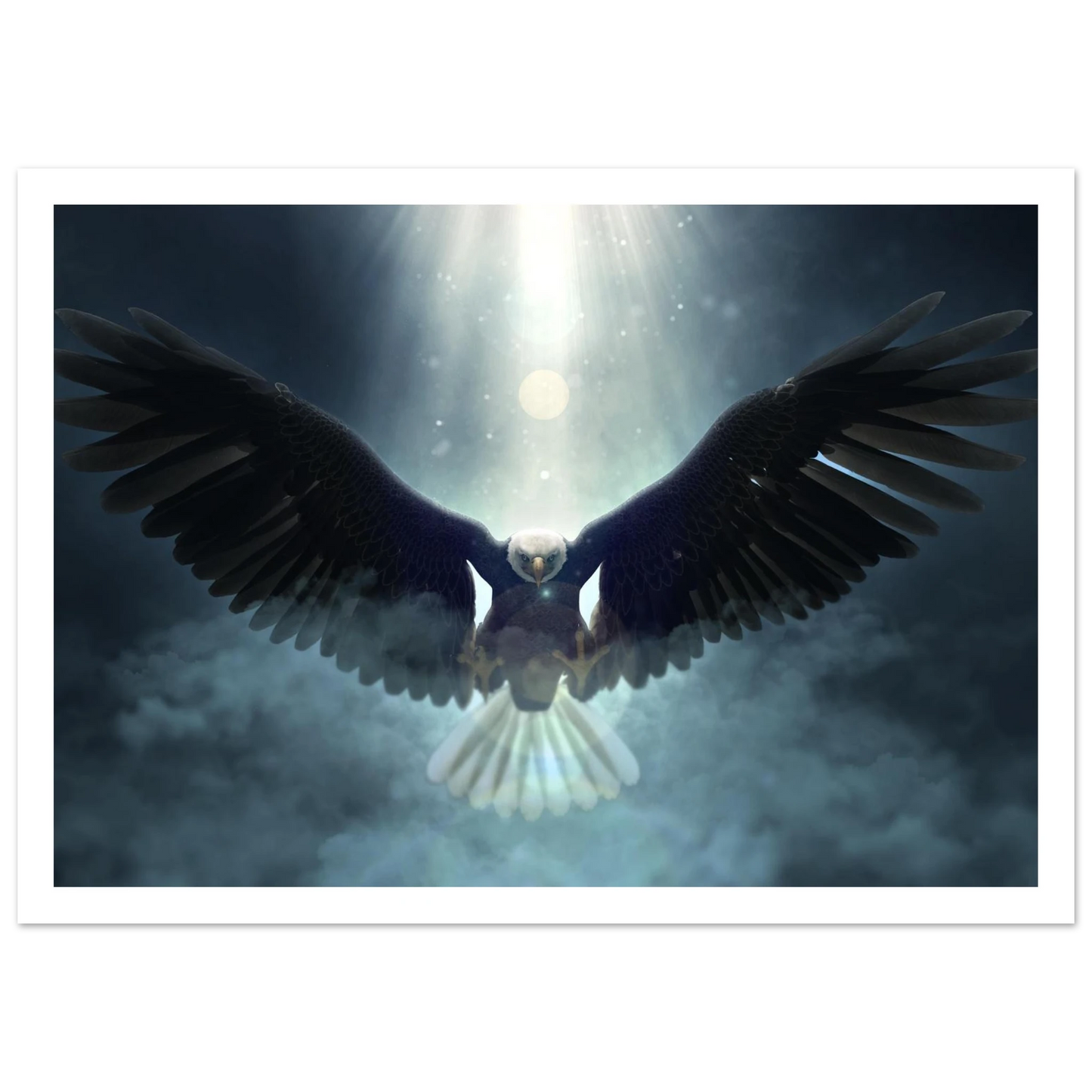 Wings of majesty - Poster - Arthena