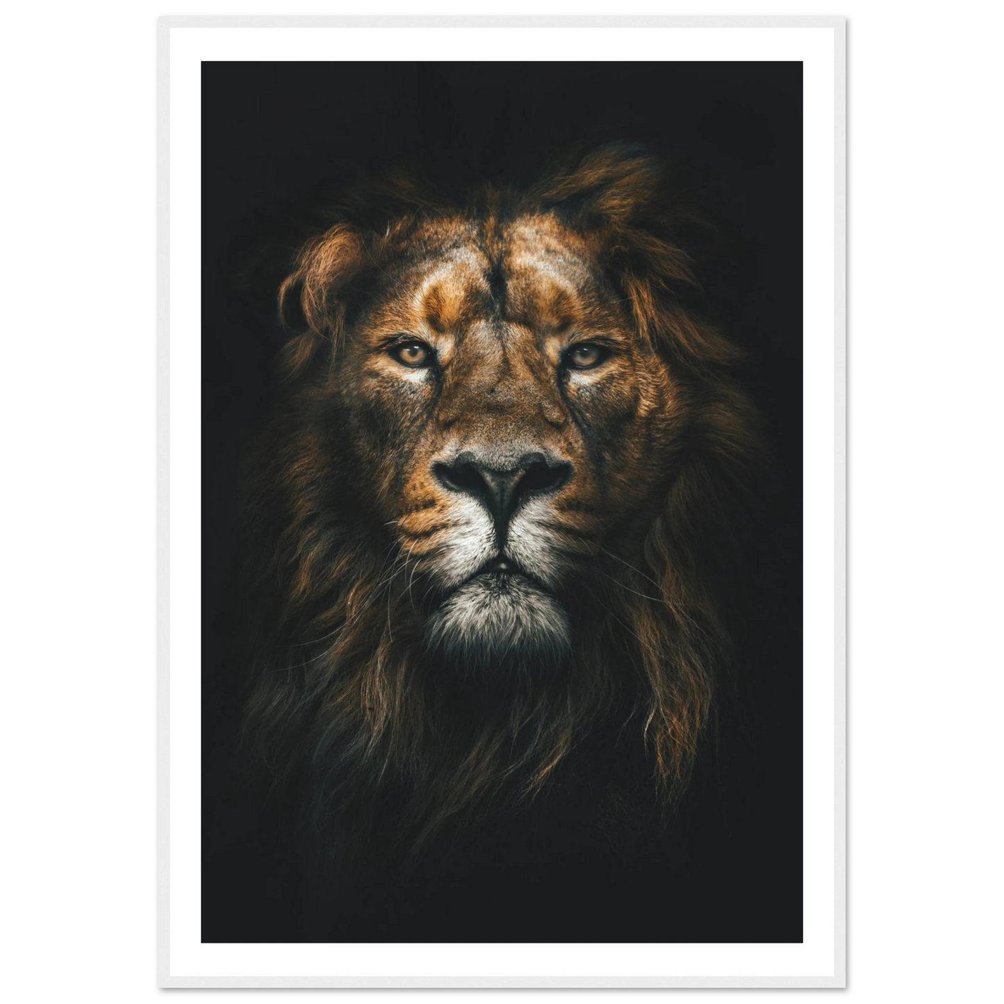 Lion King - Poster - Arthena