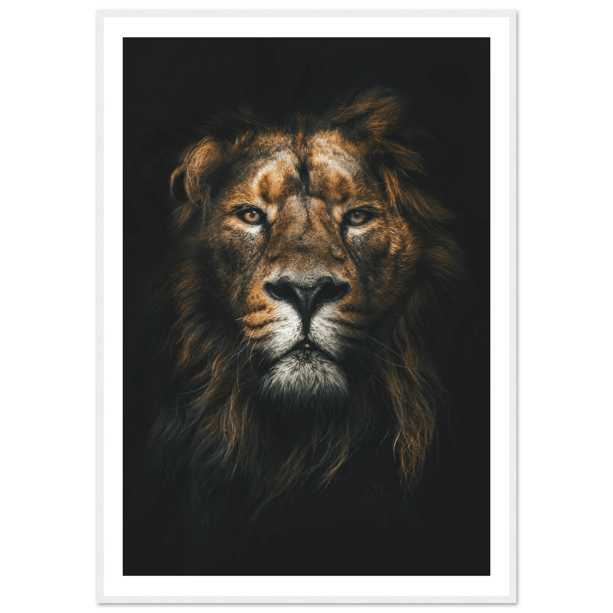 Lion King - Poster - Arthena