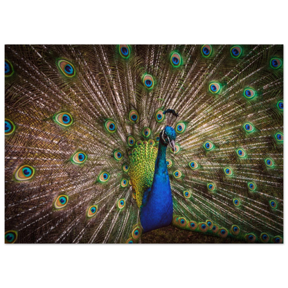 Crown of feathers - Poster - Arthena
