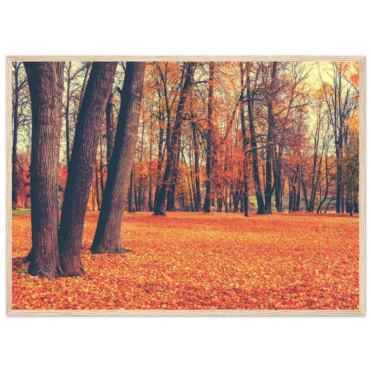 Autumn Carpet - Poster - Arthena