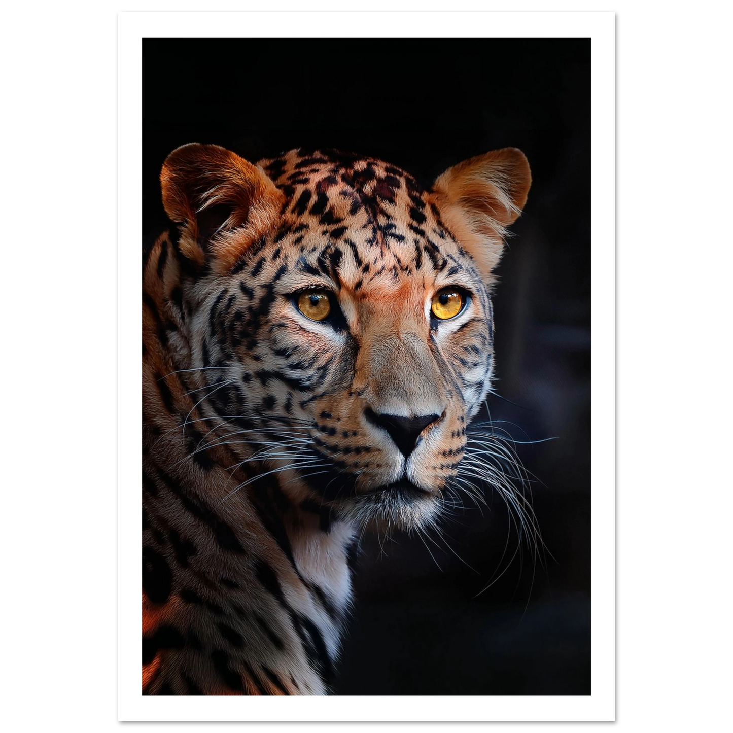 Leopard - Poster - Arthena