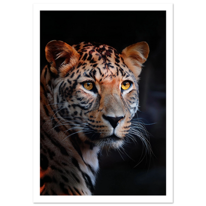 Leopard - Poster - Arthena