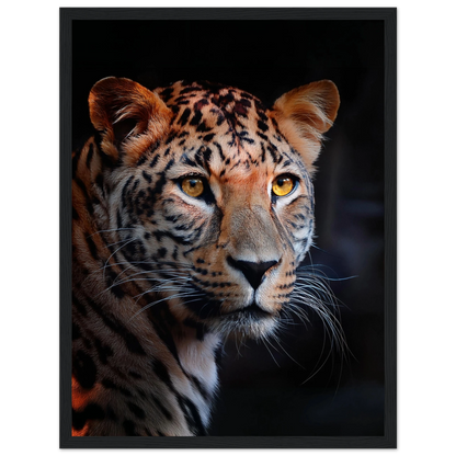 Leopard - Poster - Arthena