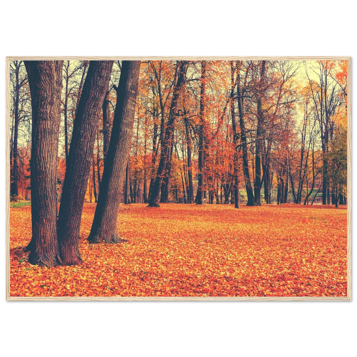 Autumn Carpet - Poster - Arthena