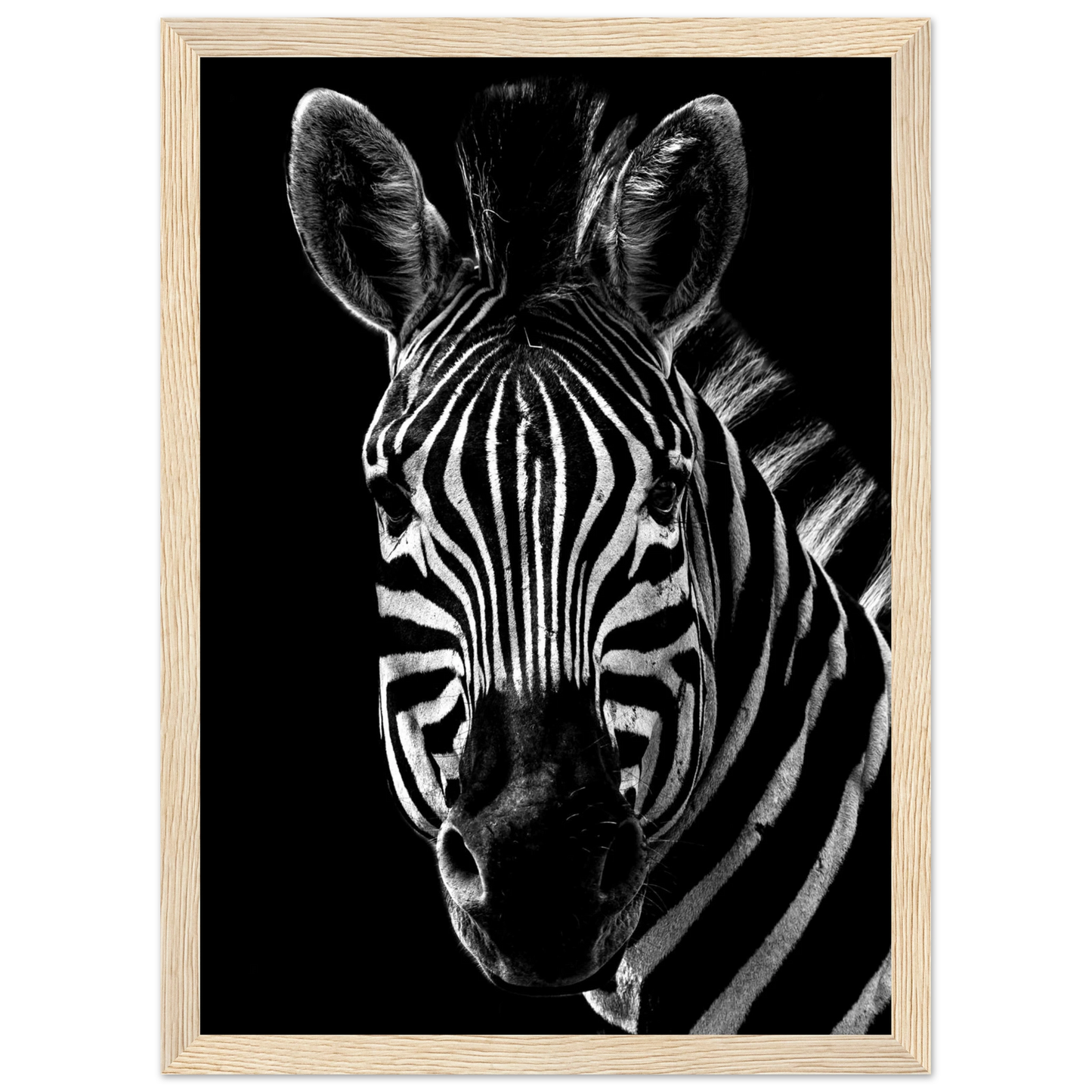 Zebra - Poster - Arthena