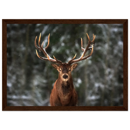Stag in snow - Poster - Arthena