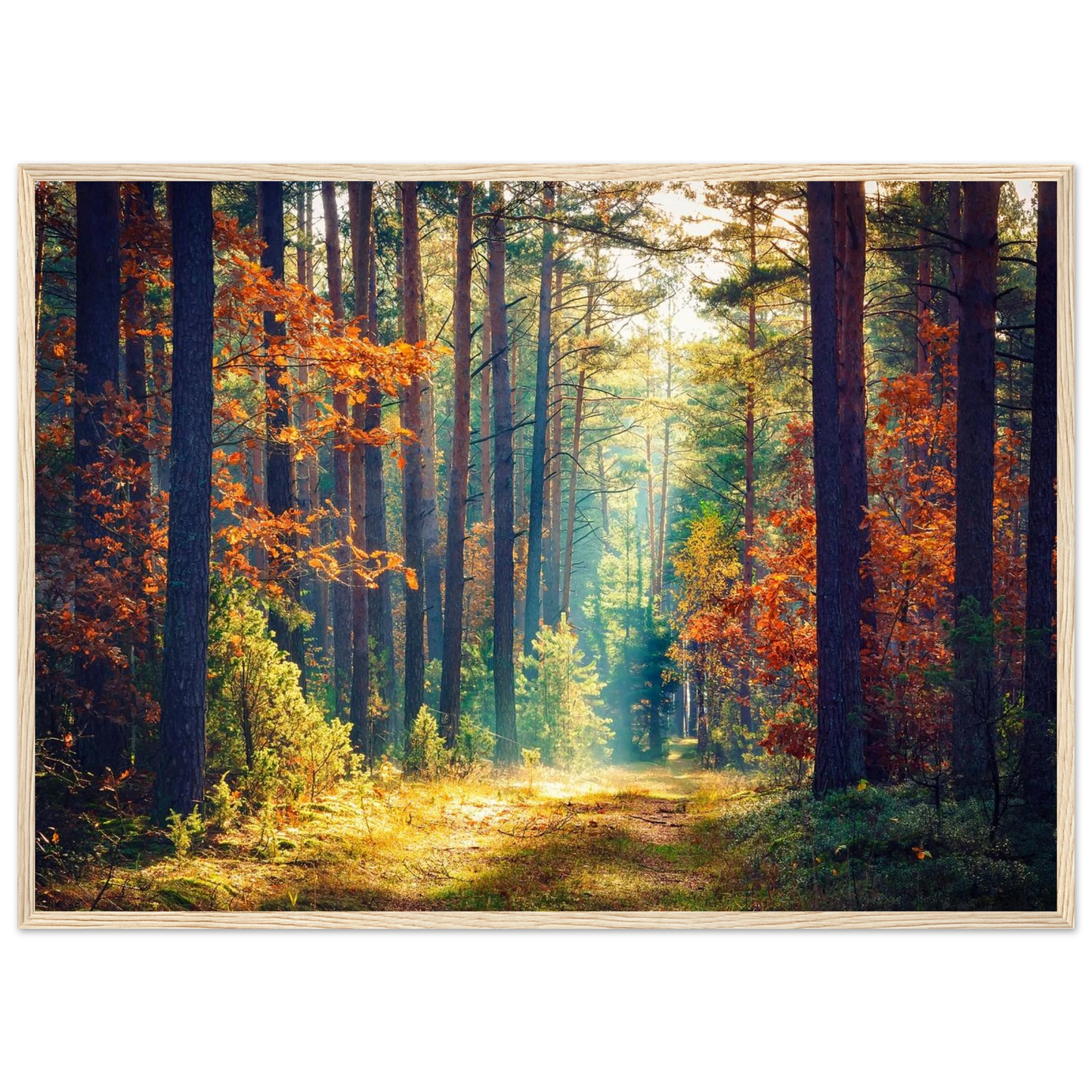 Path of Autumn Glow - Poster - Arthena