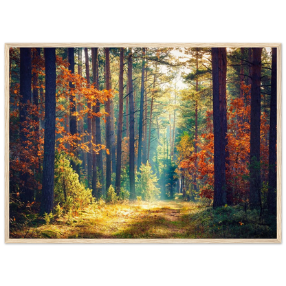 Path of Autumn Glow - Poster - Arthena