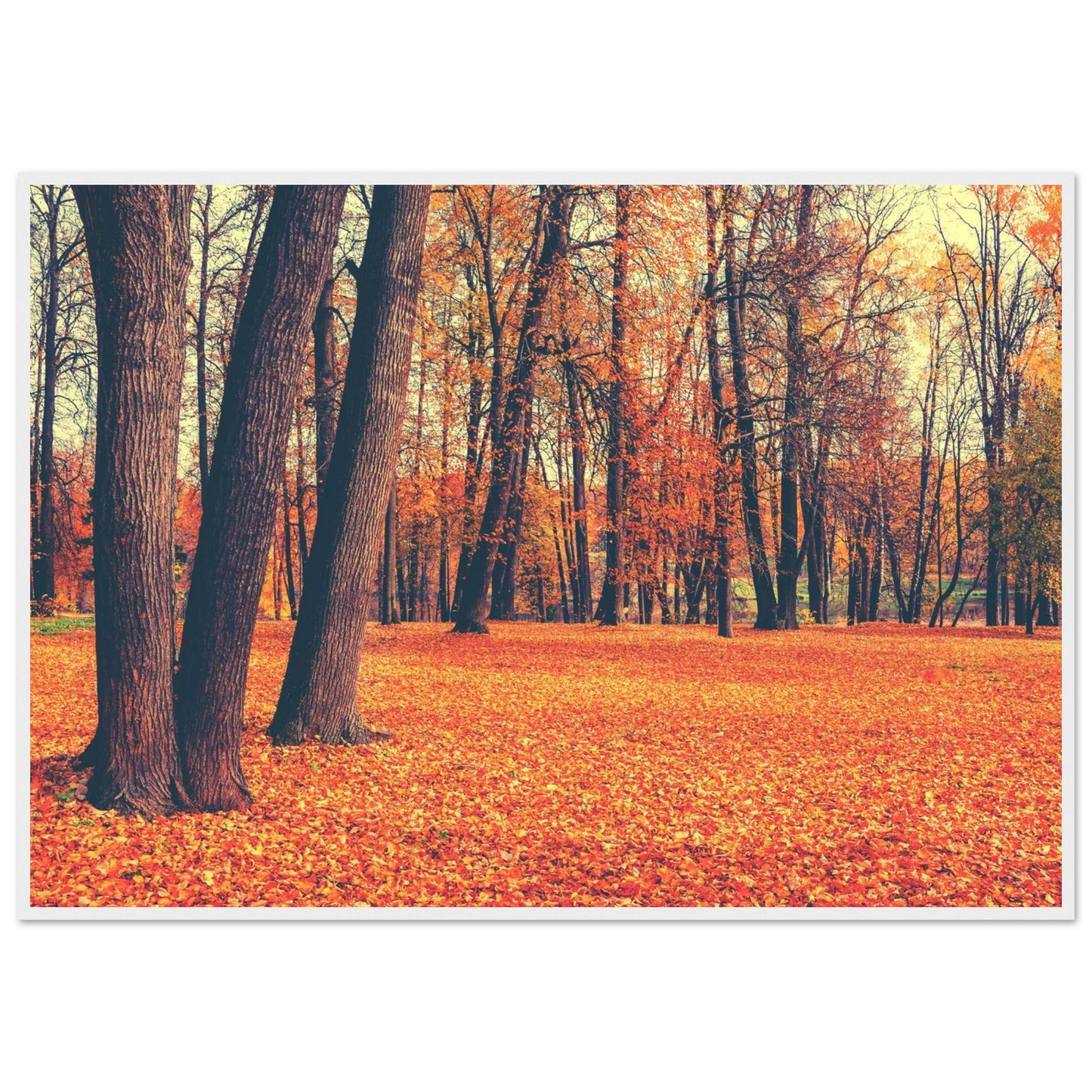 Autumn Carpet - Poster - Arthena