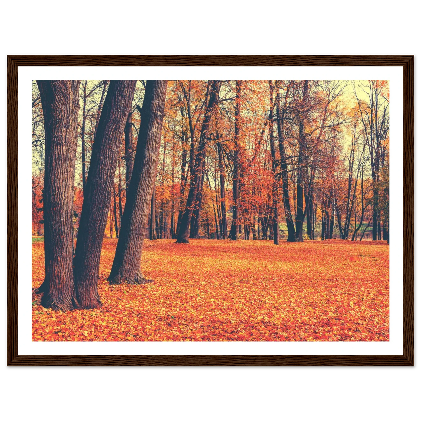 Autumn Carpet - Poster - Arthena