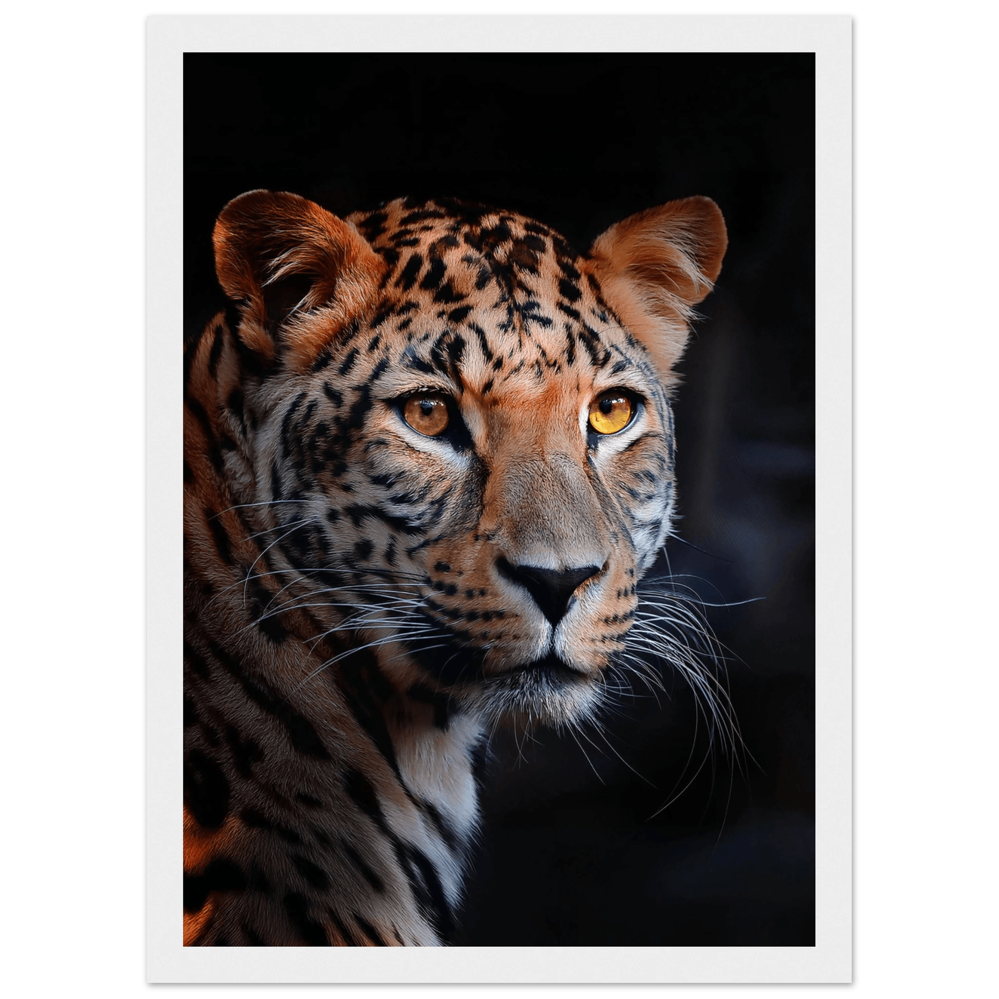 Leopard - Poster - Arthena