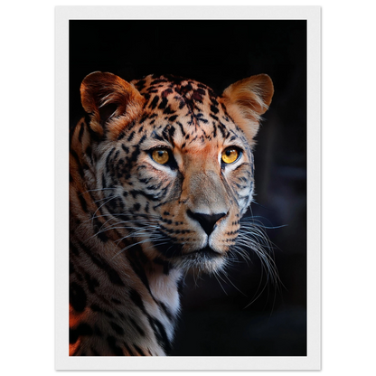 Leopard - Poster - Arthena
