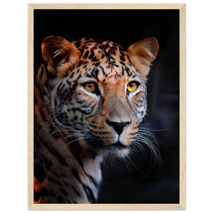 Leopard - Poster - Arthena