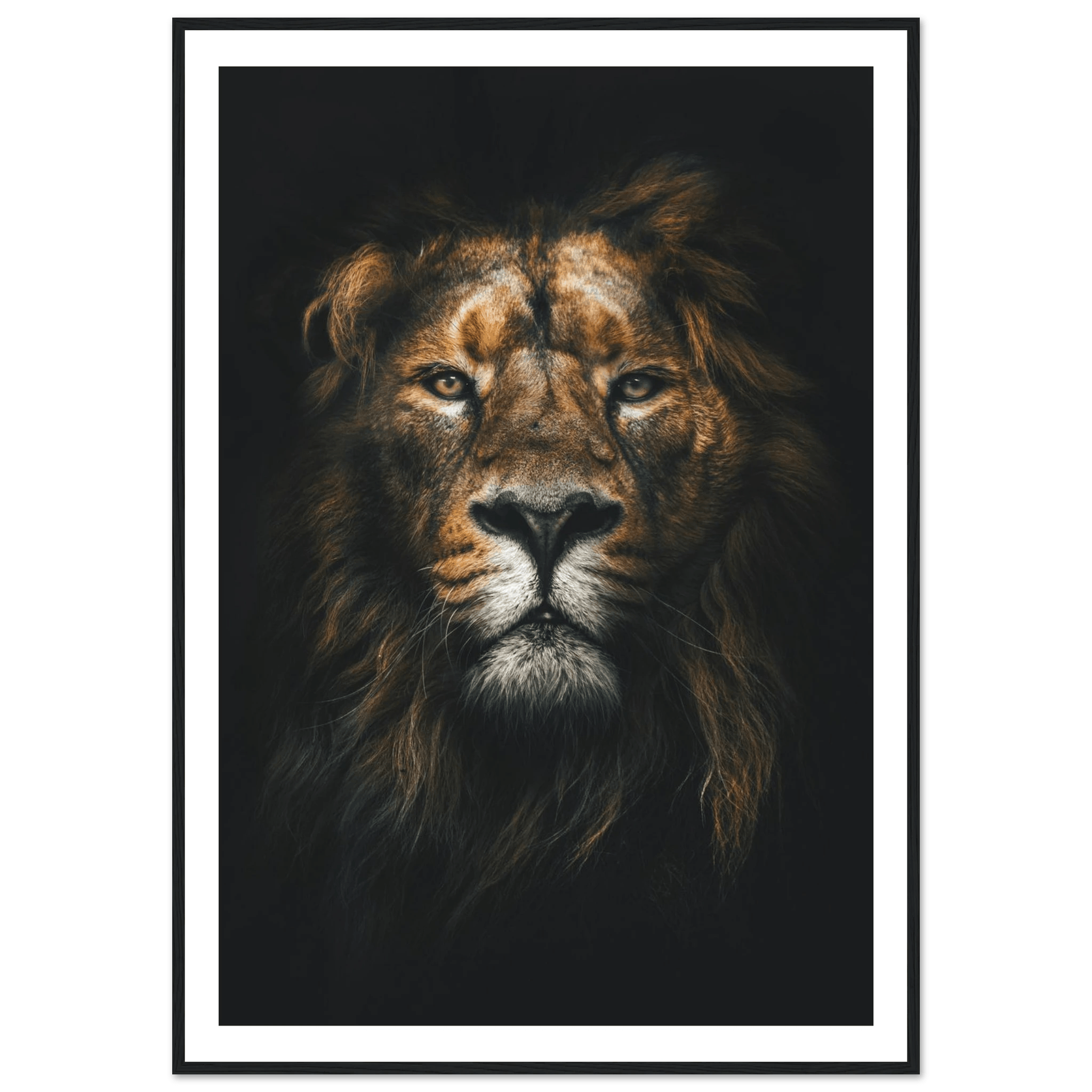 Lion King - Poster - Arthena