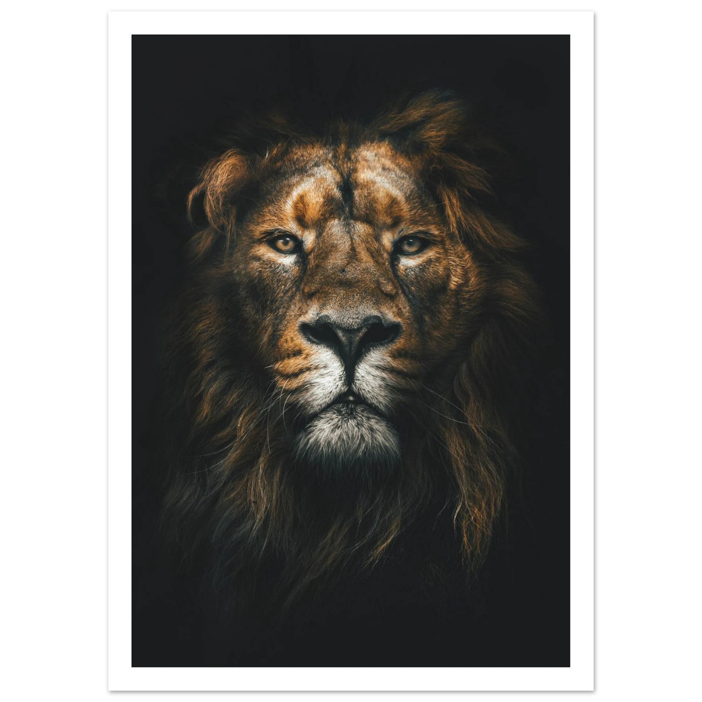 Lion King - Poster - Arthena