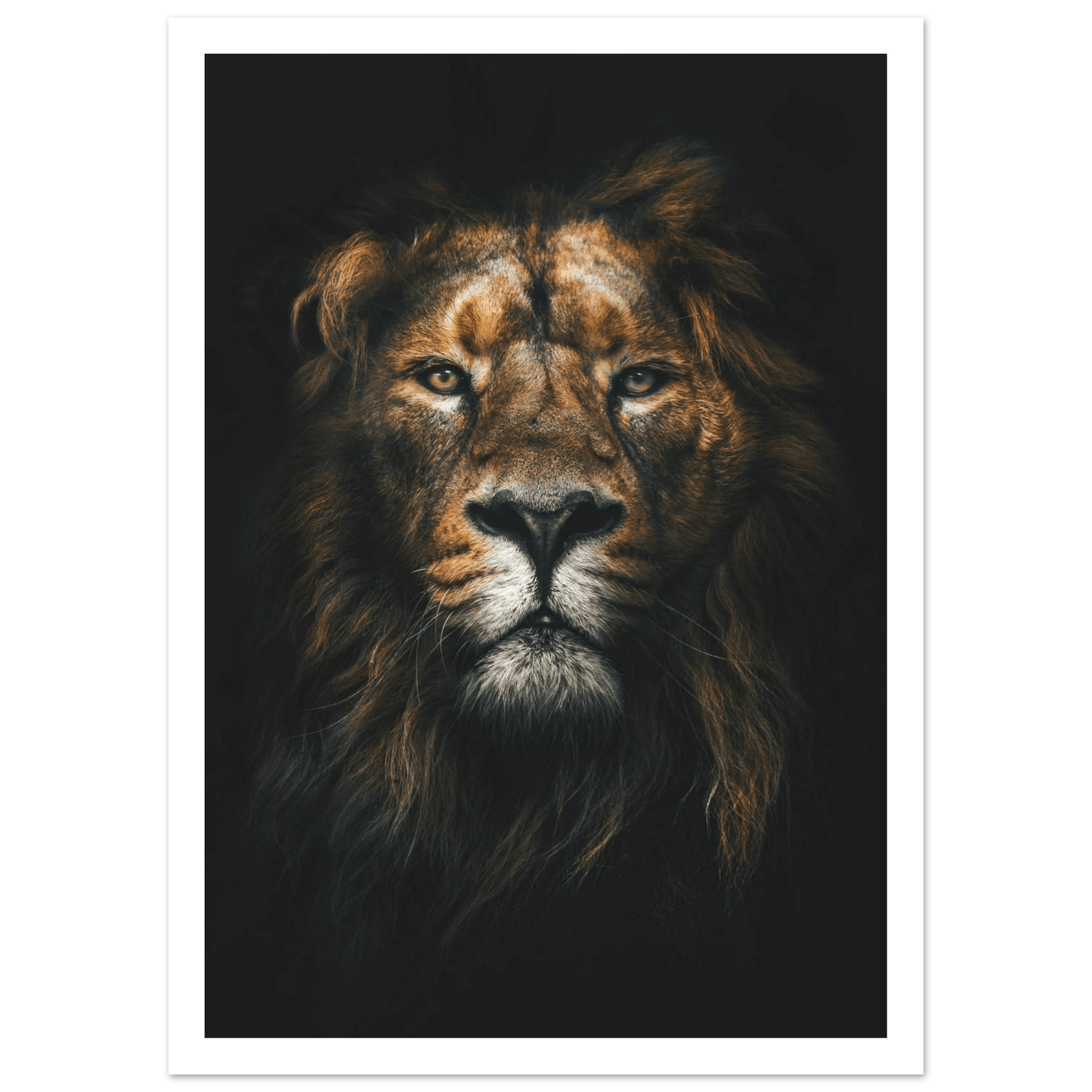 Lion King - Poster - Arthena