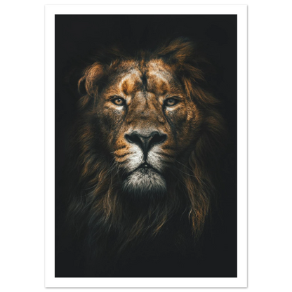 Lion King - Poster - Arthena
