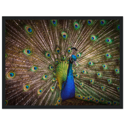 Crown of feathers - Poster - Arthena