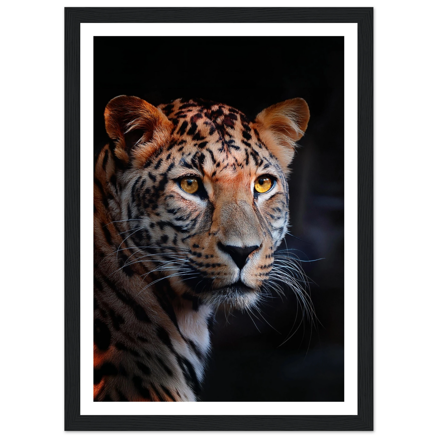 Leopard - Poster - Arthena