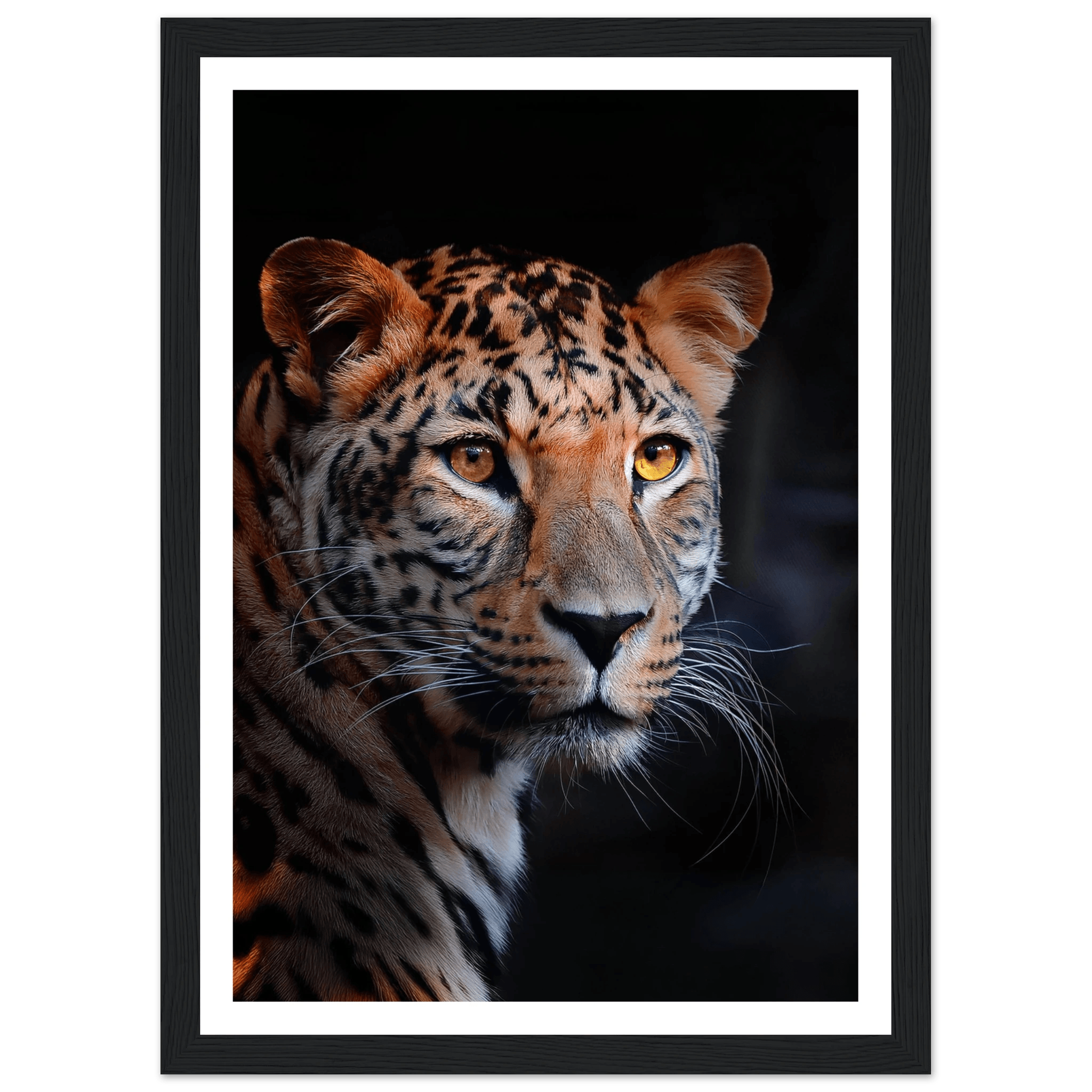 Leopard - Poster - Arthena