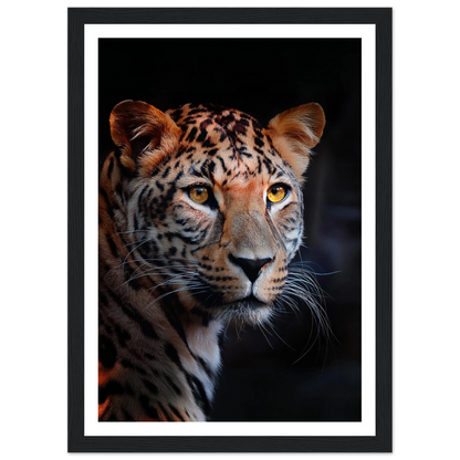 Leopard - Poster - Arthena