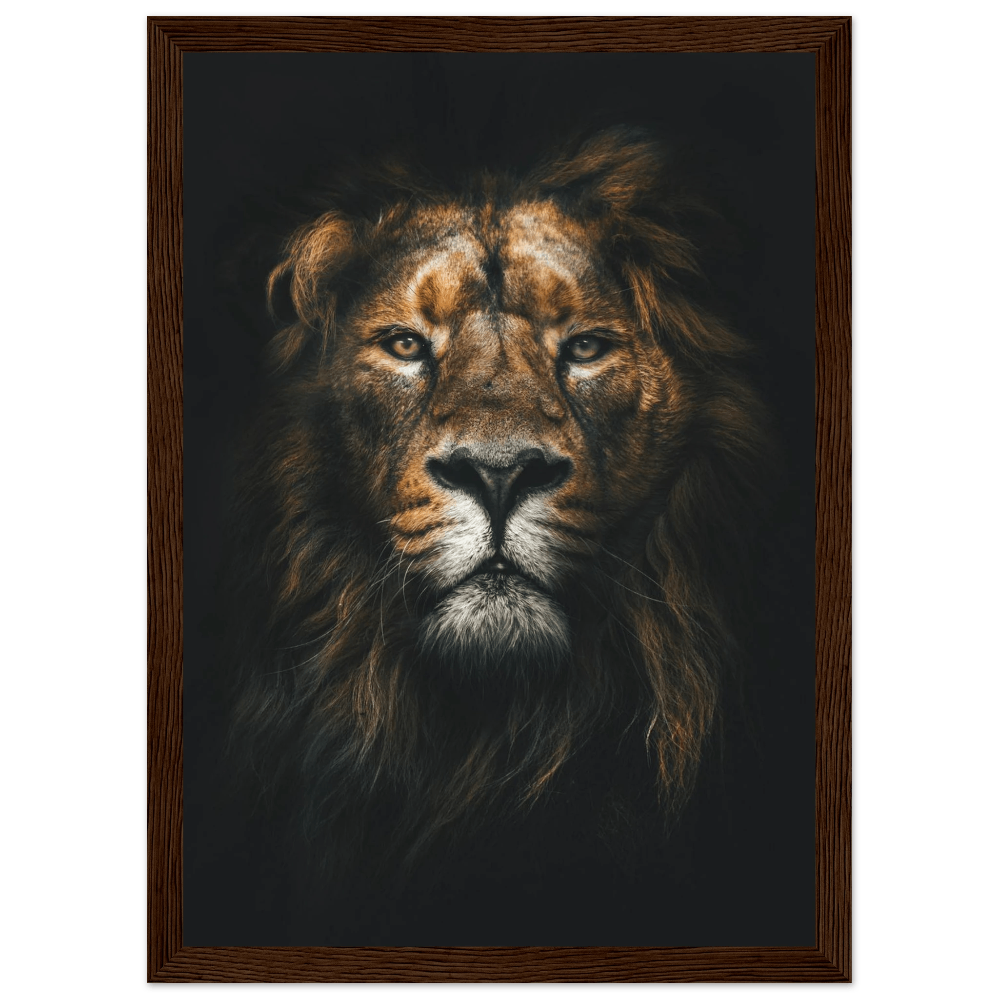 Lion King - Poster - Arthena