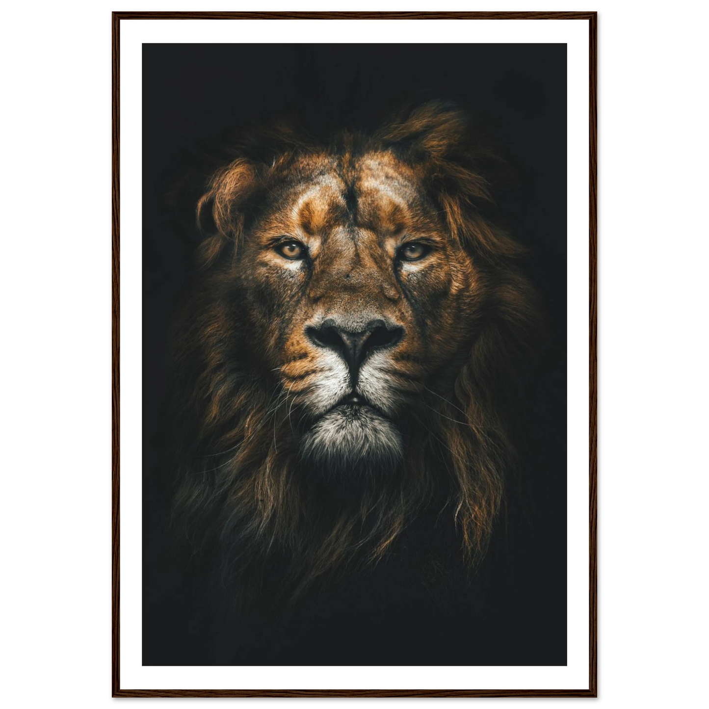 Lion King - Poster - Arthena