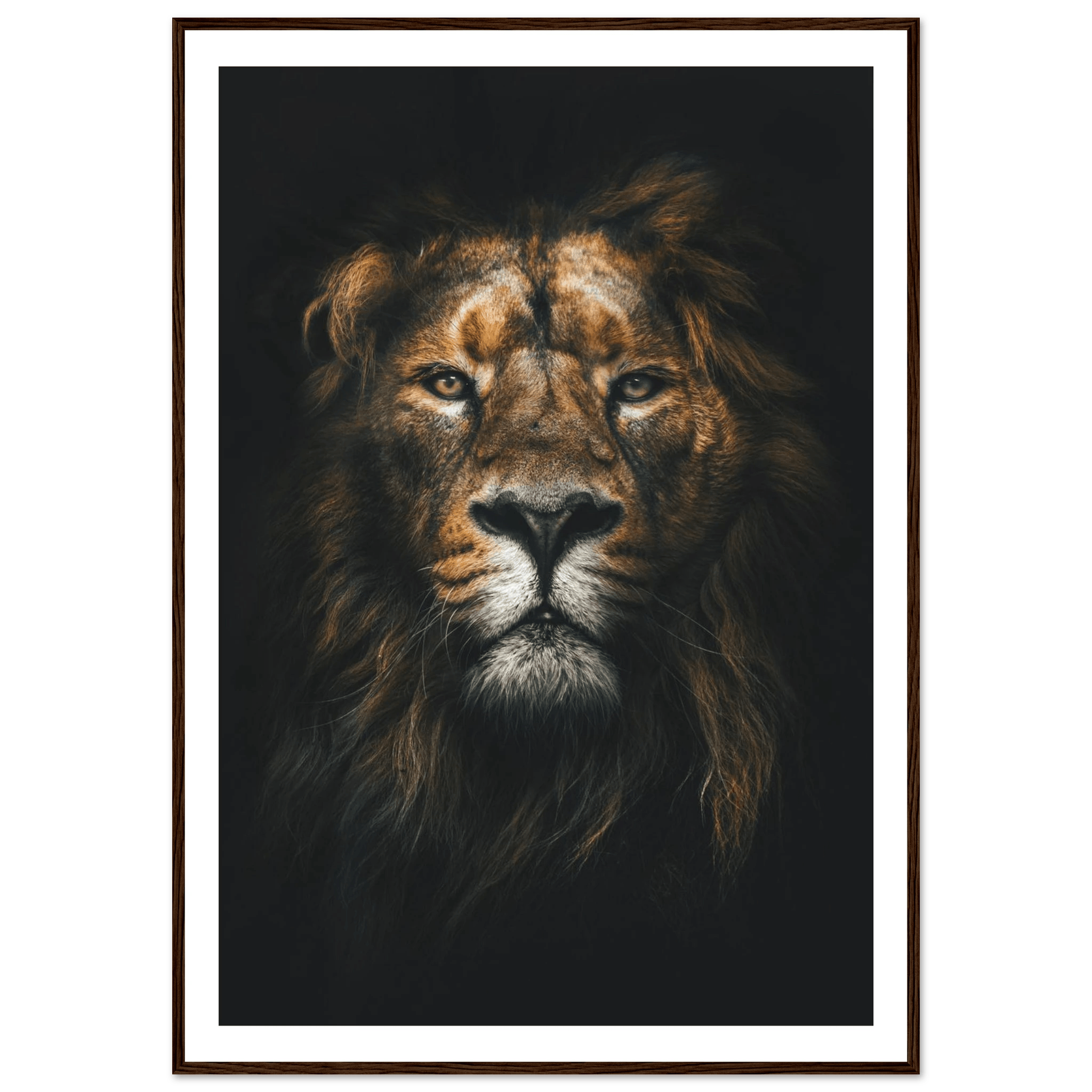 Lion King - Poster - Arthena