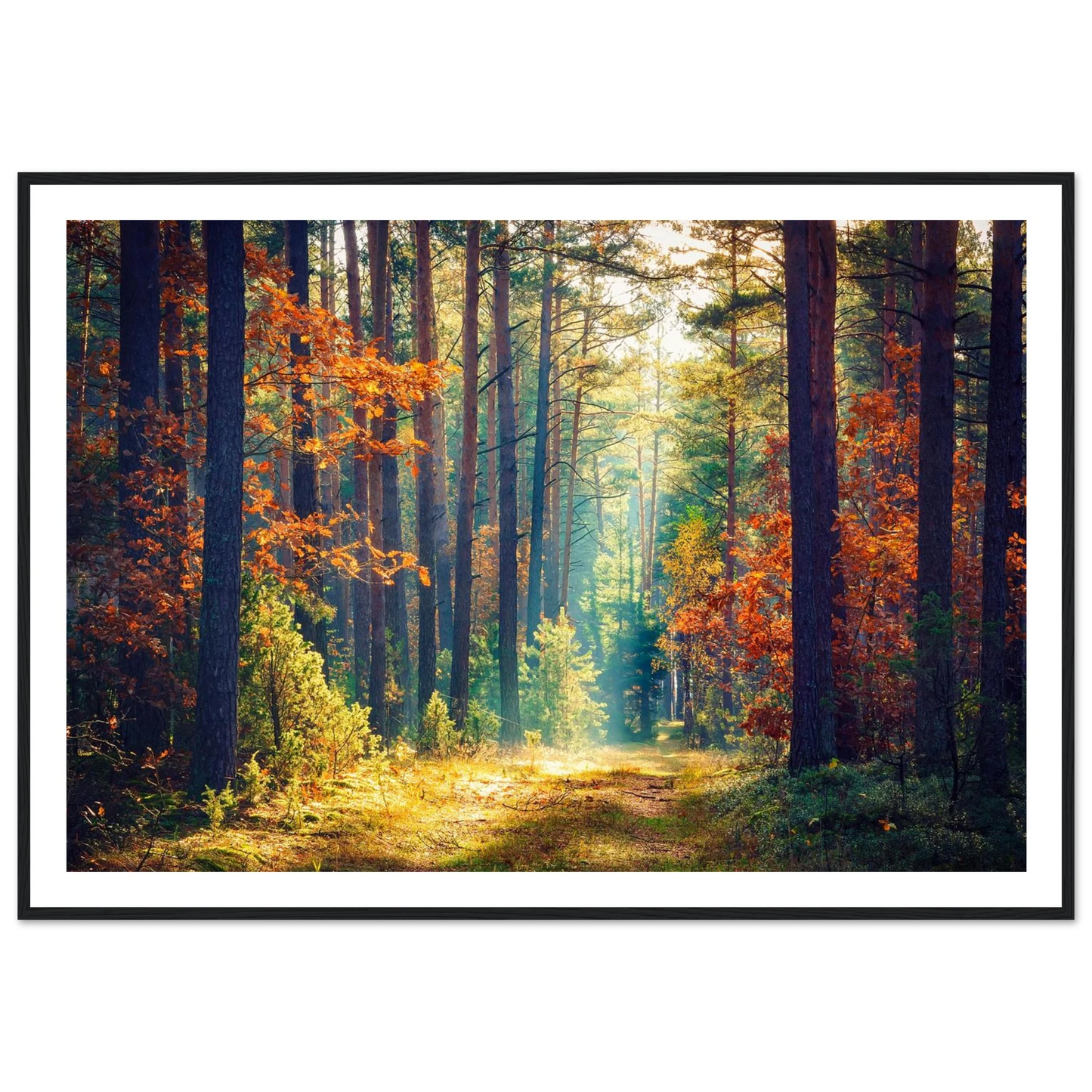 Path of Autumn Glow - Poster - Arthena