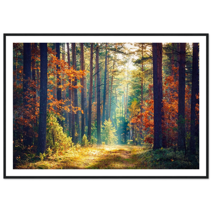 Path of Autumn Glow - Poster - Arthena