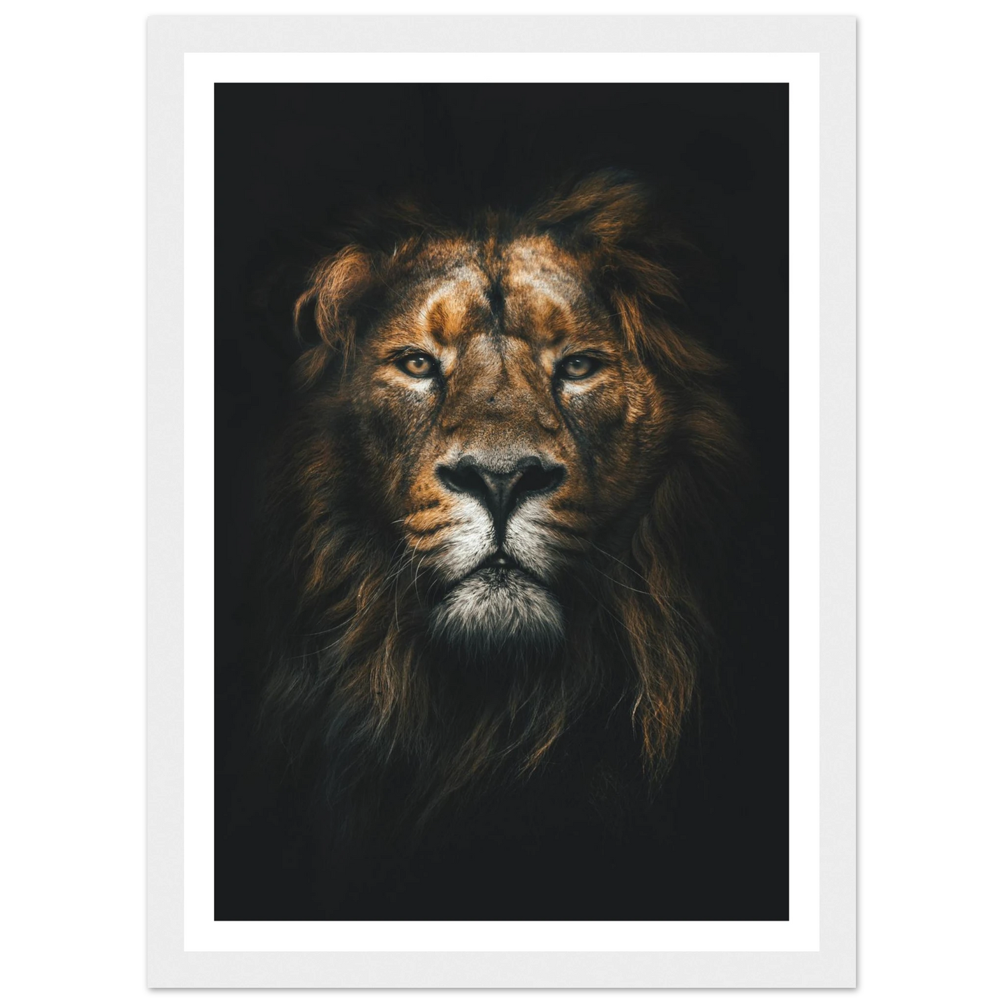 Lion King - Poster - Arthena
