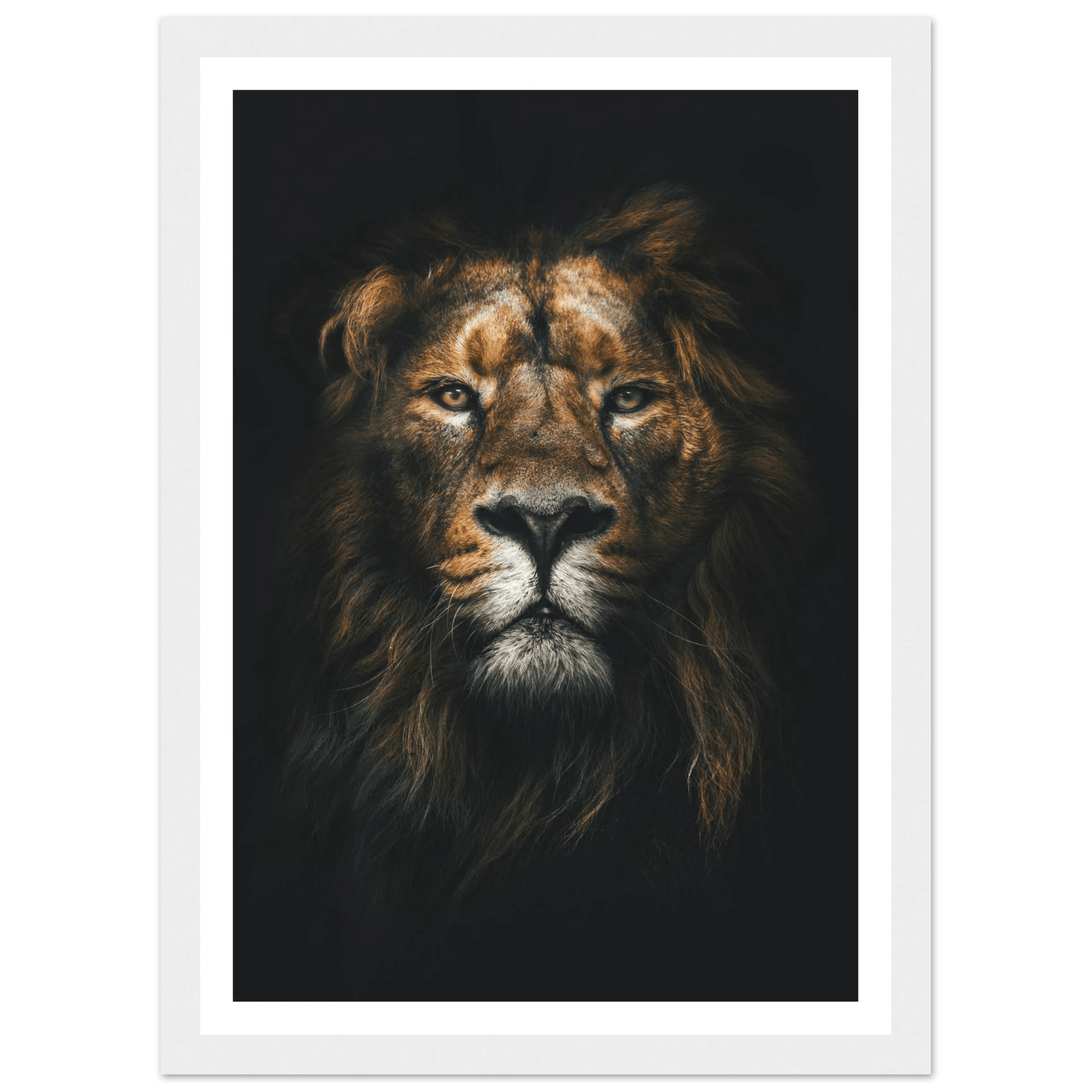 Lion King - Poster - Arthena