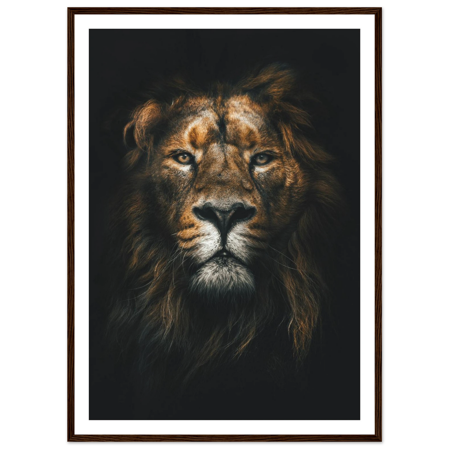 Lion King - Poster - Arthena