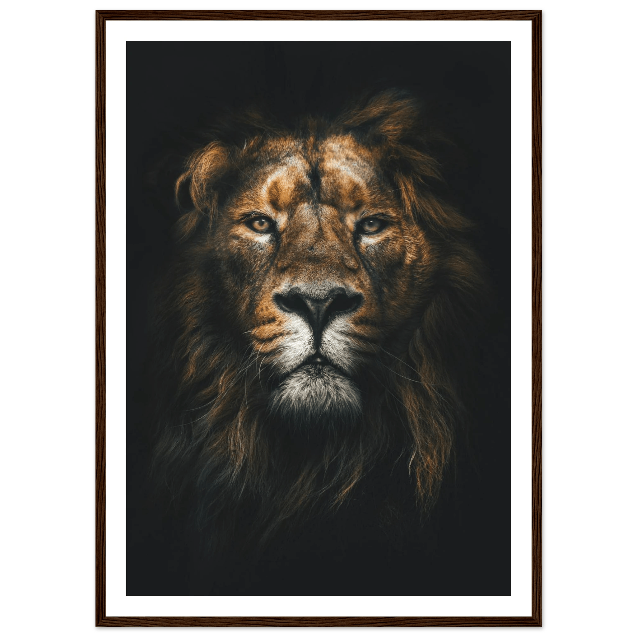 Lion King - Poster - Arthena