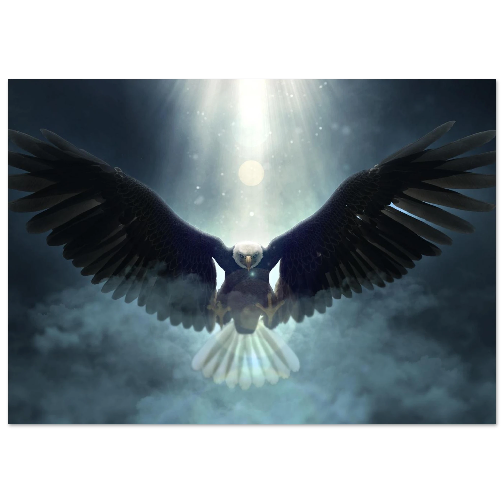 Selected Variant Image