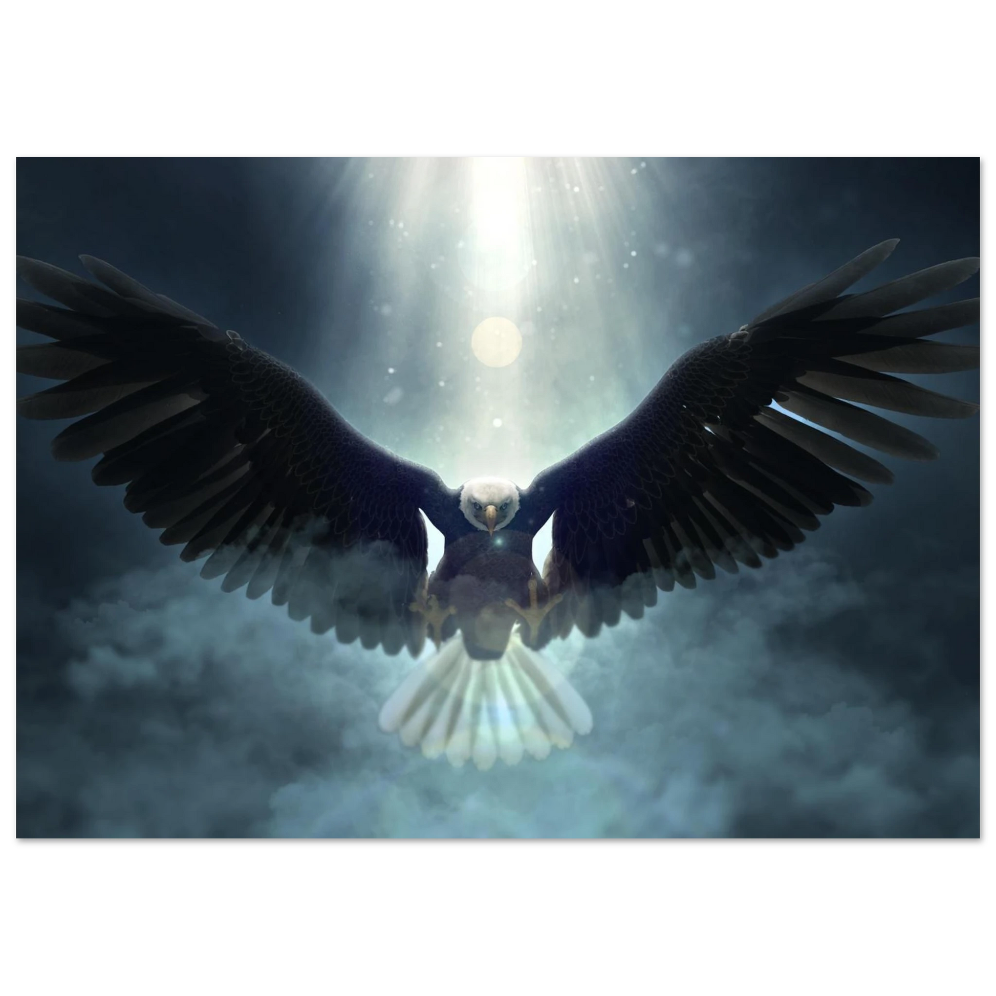 Wings of majesty - Poster - Arthena