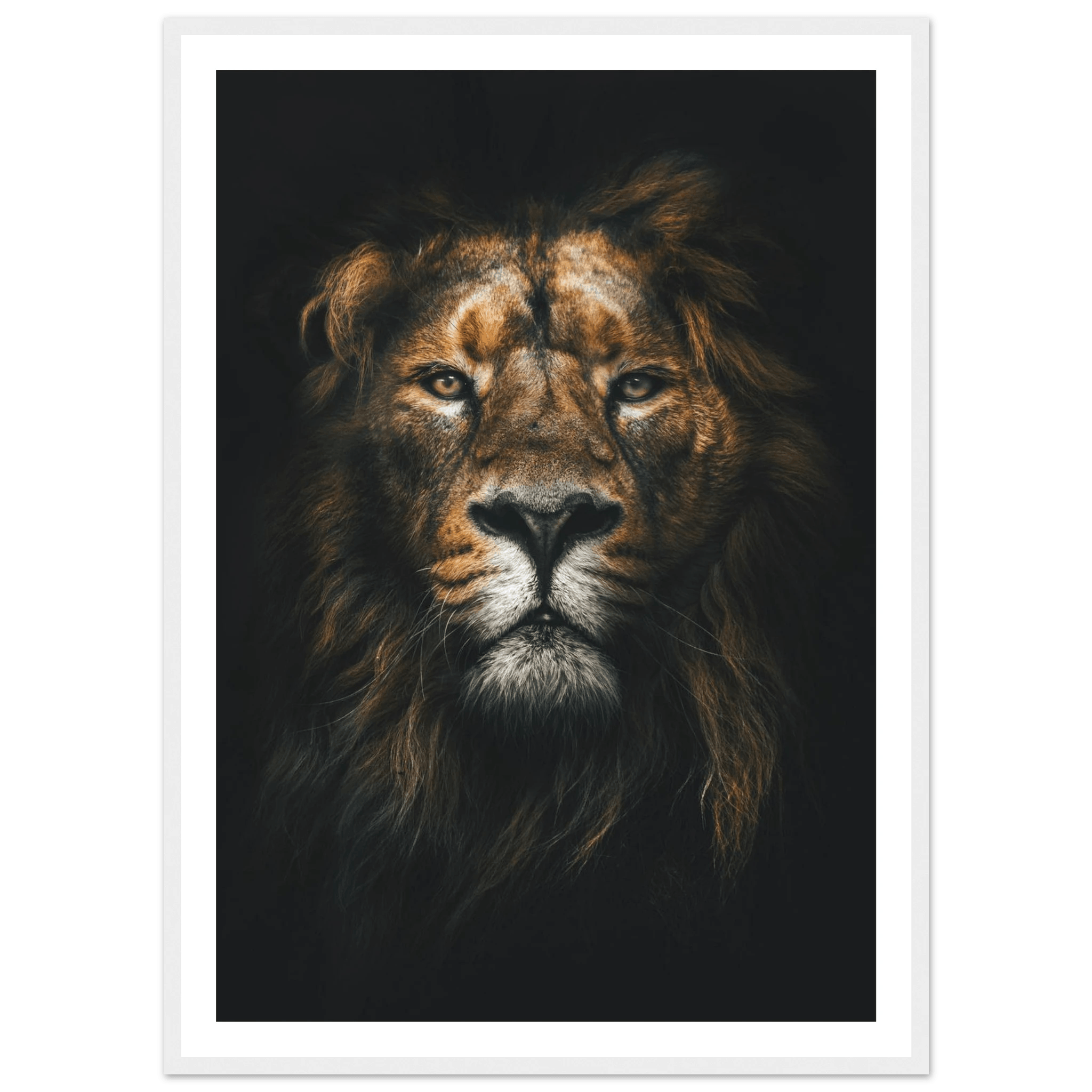 Lion King - Poster - Arthena