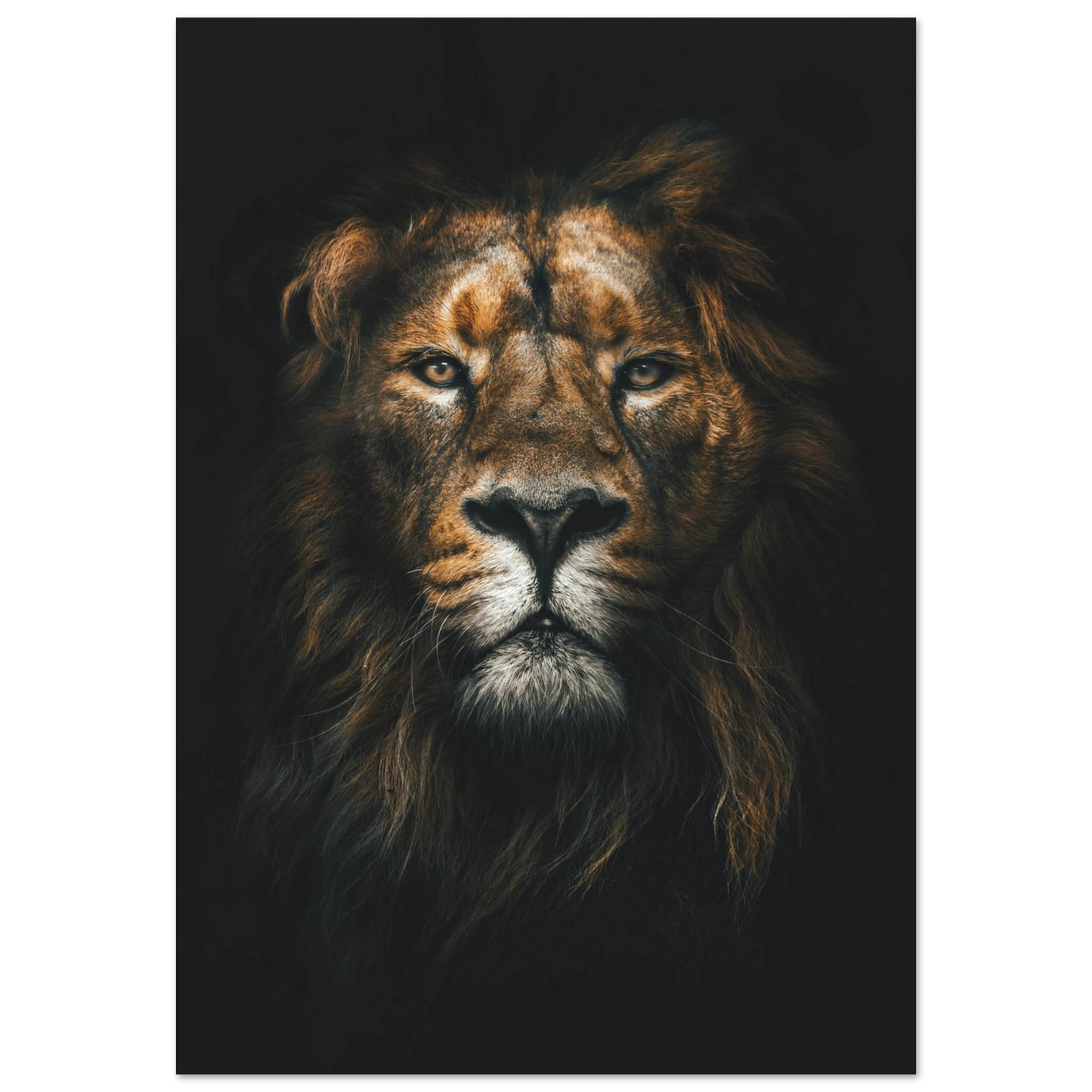 Lion King - Poster - Arthena