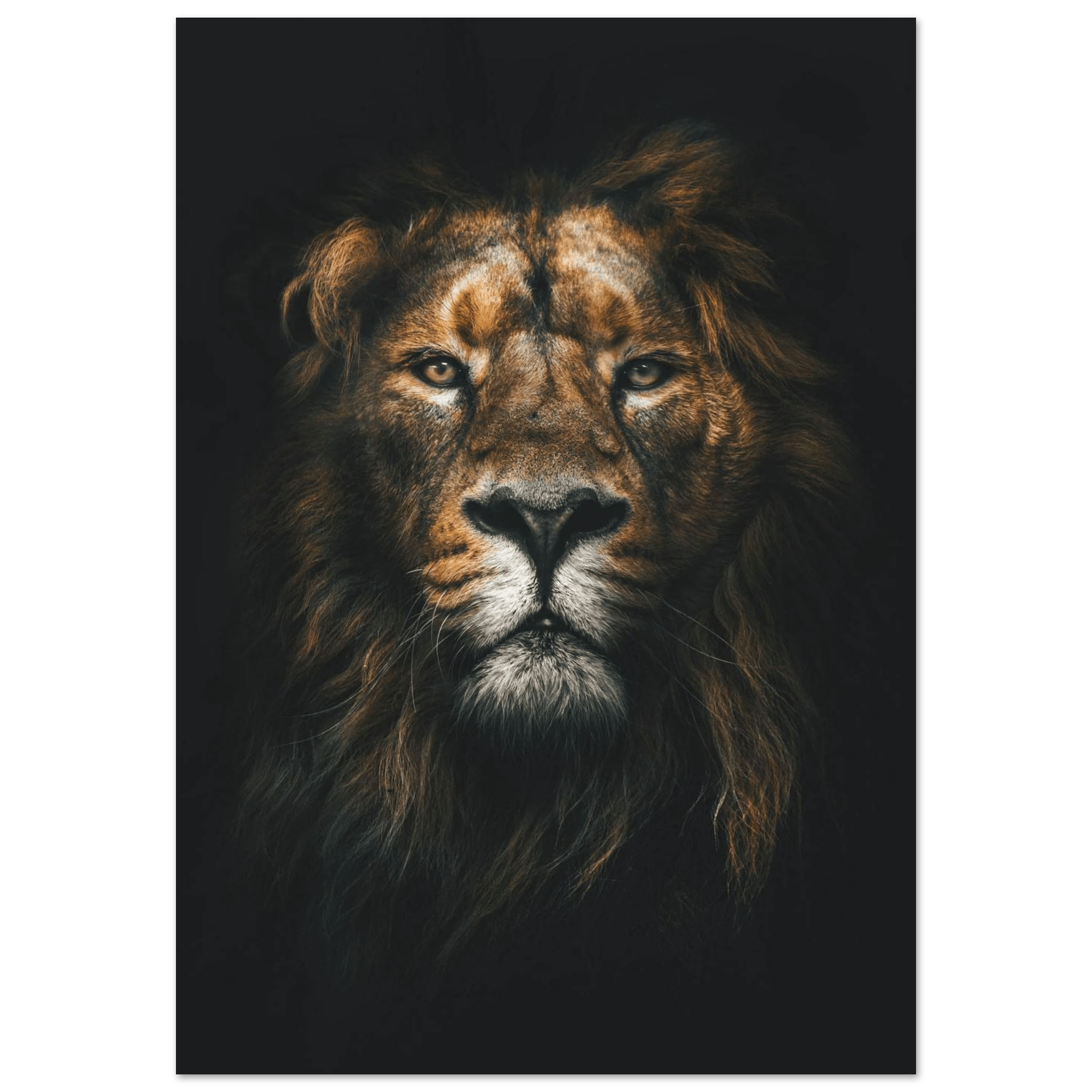 Lion King - Poster - Arthena