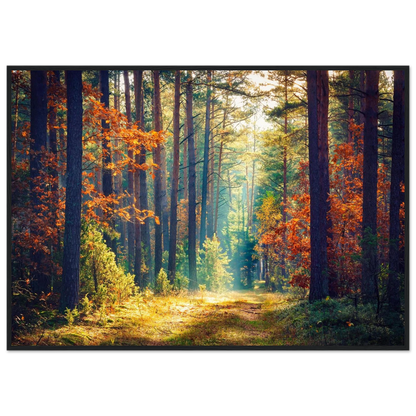 Path of Autumn Glow - Poster - Arthena