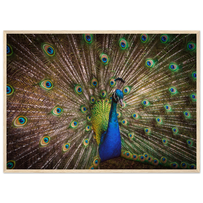 Crown of feathers - Poster - Arthena