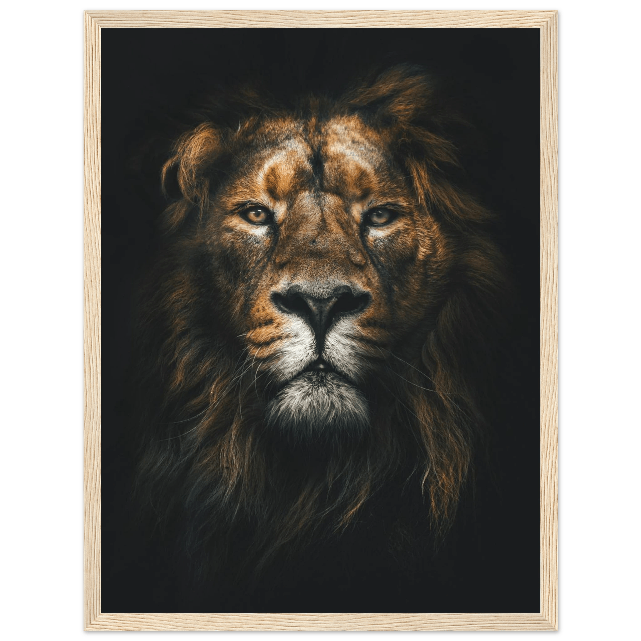 Lion King - Poster - Arthena
