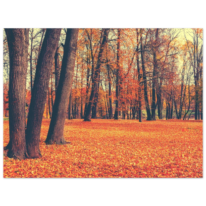 Autumn Carpet - Poster - Arthena