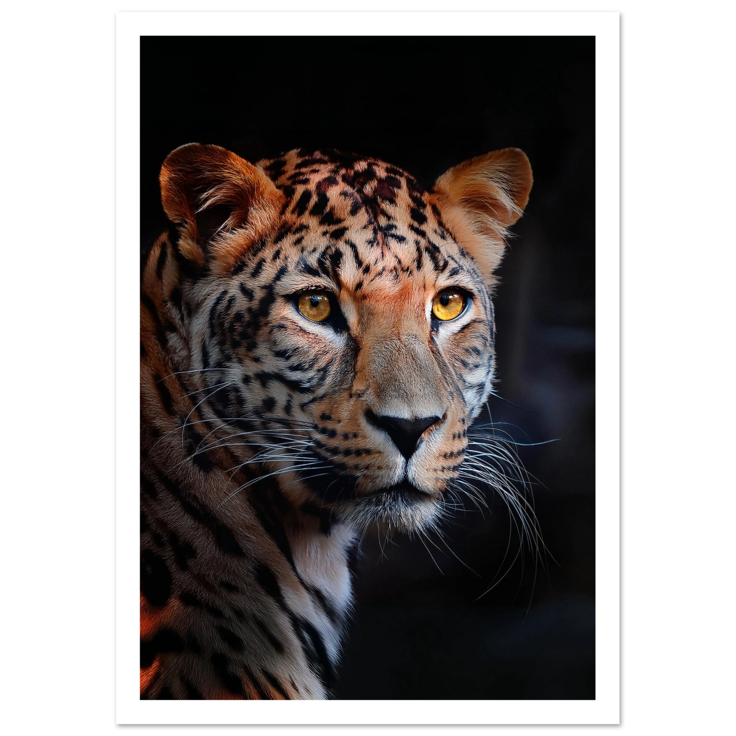 Leopard - Poster - Arthena