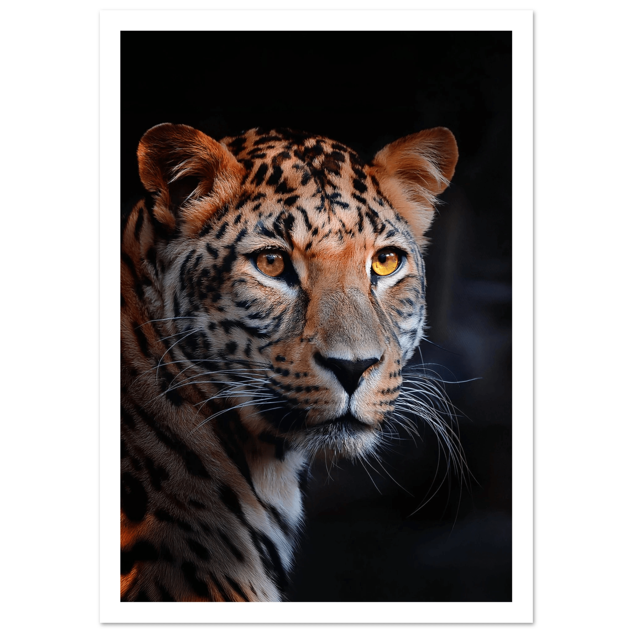 Leopard - Poster - Arthena