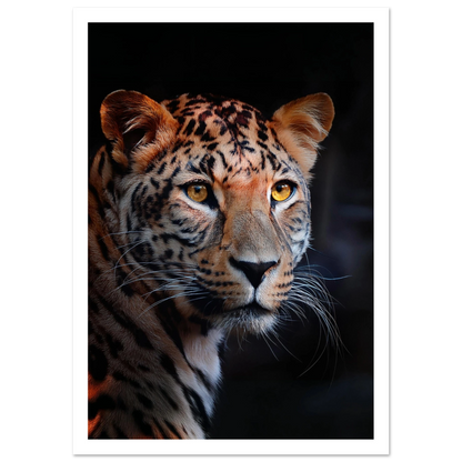 Leopard - Poster - Arthena