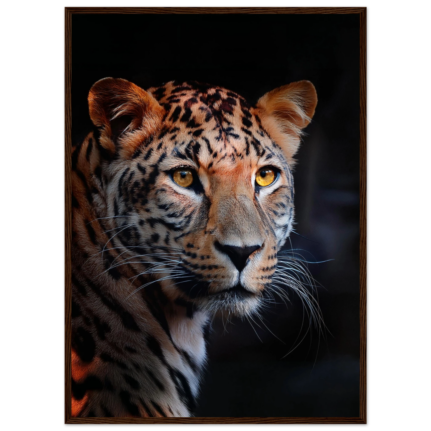 Leopard - Poster - Arthena